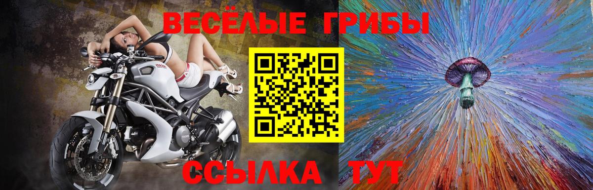 Псилоцибиновые грибы прущие грибы Зеленогорск